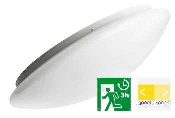 MEGAMAN MM10268 RENZO | 