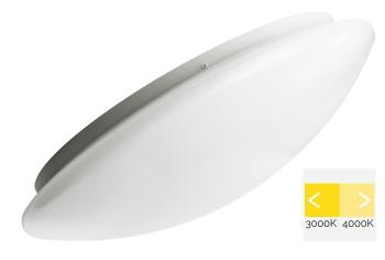 MEGAMAN MM10269 RENZO | 