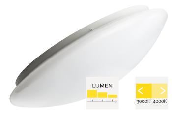 MEGAMAN MM10274 RENZO | 