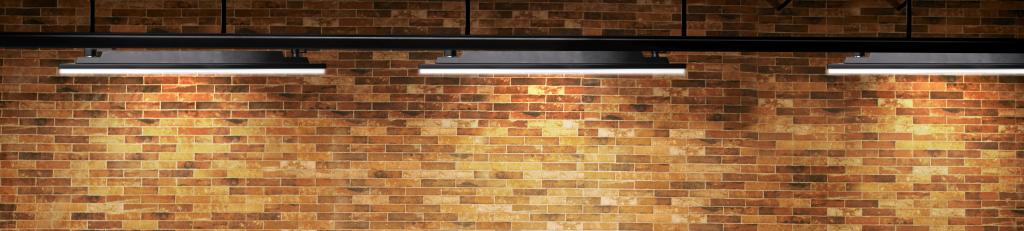 MEGAMAN MM10568 XAVIER  Panel  3 faseTrack | 
 MM10568 MEGAMAN MM10568 XAVIER  Panel  3 faseTrack | 
 MM10568