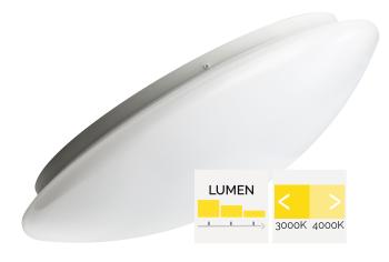 MEGAMAN MM12193 RENZO | 