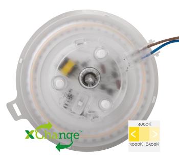 MEGAMAN MM12491 RENZO | 