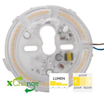 MEGAMAN MM12492 RENZO | 