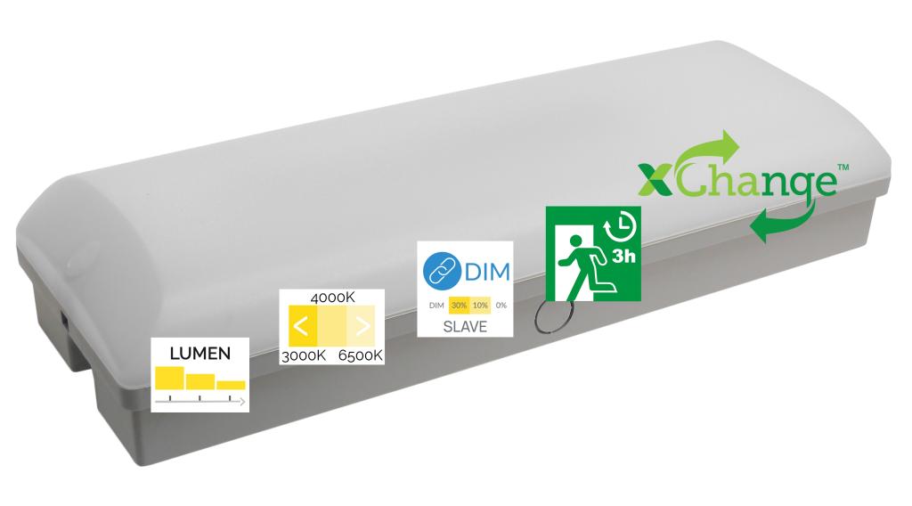 MEGAMAN MM12544 RENZO | 
 MM12544 MEGAMAN MM12544 RENZO | 
 MM12544