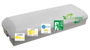 MEGAMAN MM12544 RENZO | 