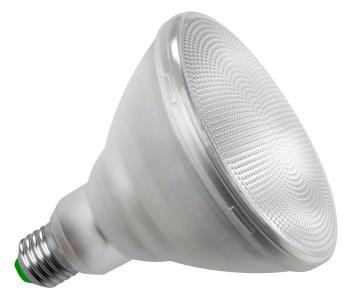 MEGAMAN MM04310 Reflector PAR38 spot | E27 fitting | Energielabel A 