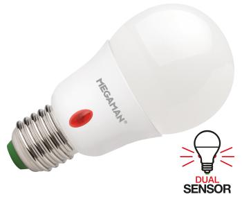 MEGAMAN MM07267 Bol Peer bol | E27 fitting  | Energielabel F