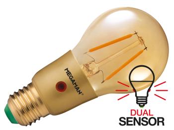 MEGAMAN MM08121 LED CLASSIC bol | E27 fitting  | Energielabel G