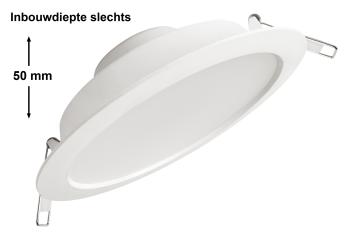 MEGAMAN MM09316 SIENA | 