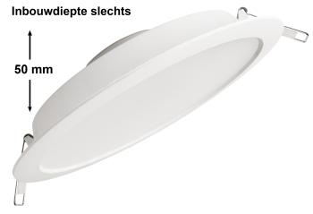 MEGAMAN MM09317 SIENA | 