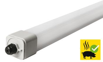 MEGAMAN MM10038 DINO Waterdicht Slagvast | IP66 IK04  | Incl. lamp   | E 